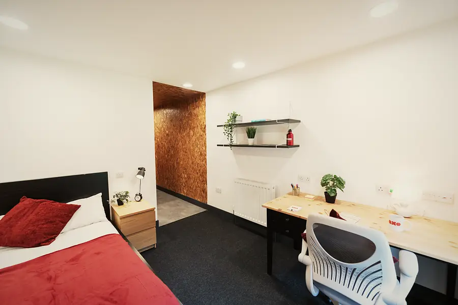 Bronze Studio Deluxe at AXO Camden: Bed and study space