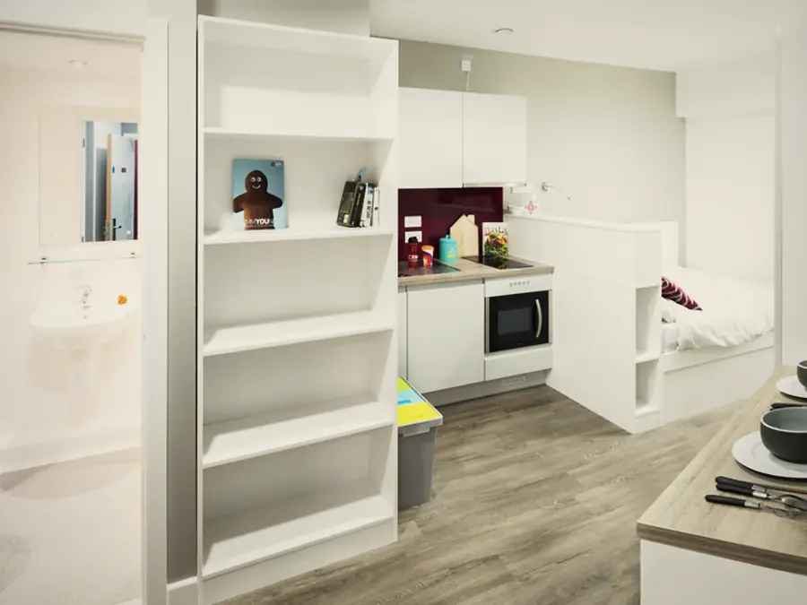Deluxe Studio at AXO Kingston: Studio overview
