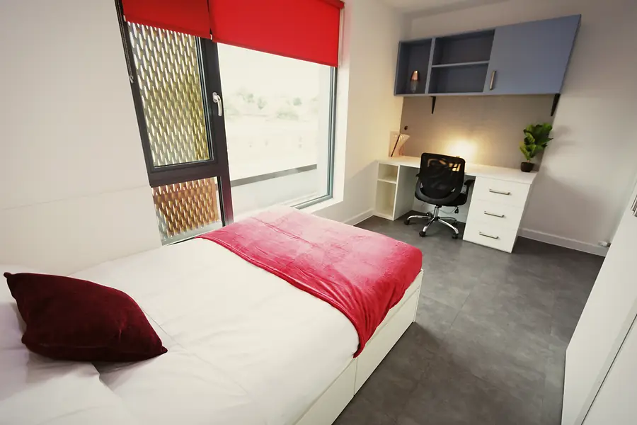 Bronze Studio at AXO New Cross: Bed by the window