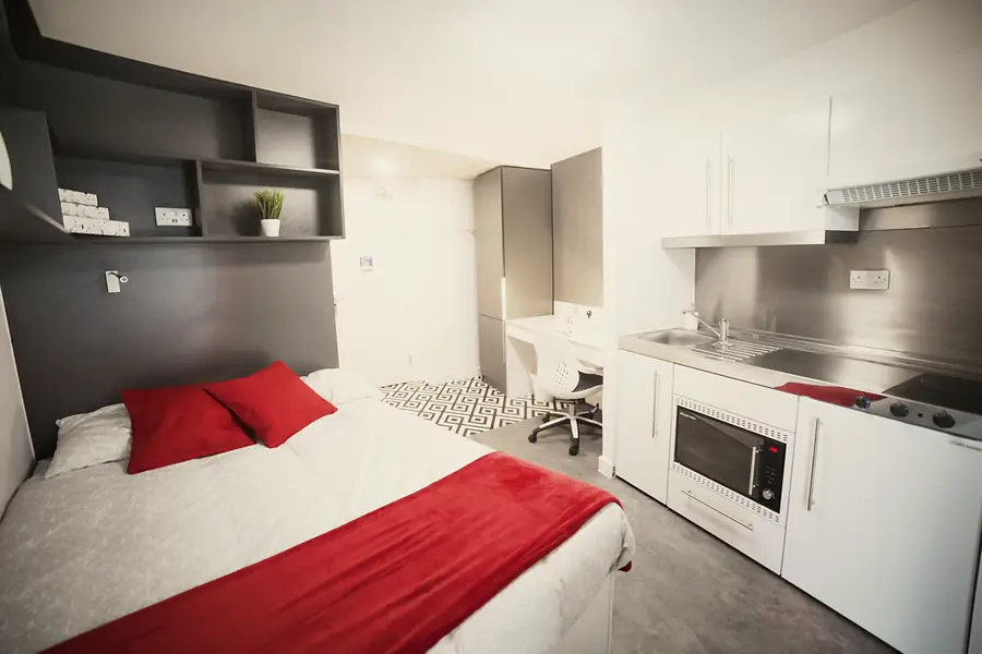 Platinum Studio at Paradise Student Village: Studio overview