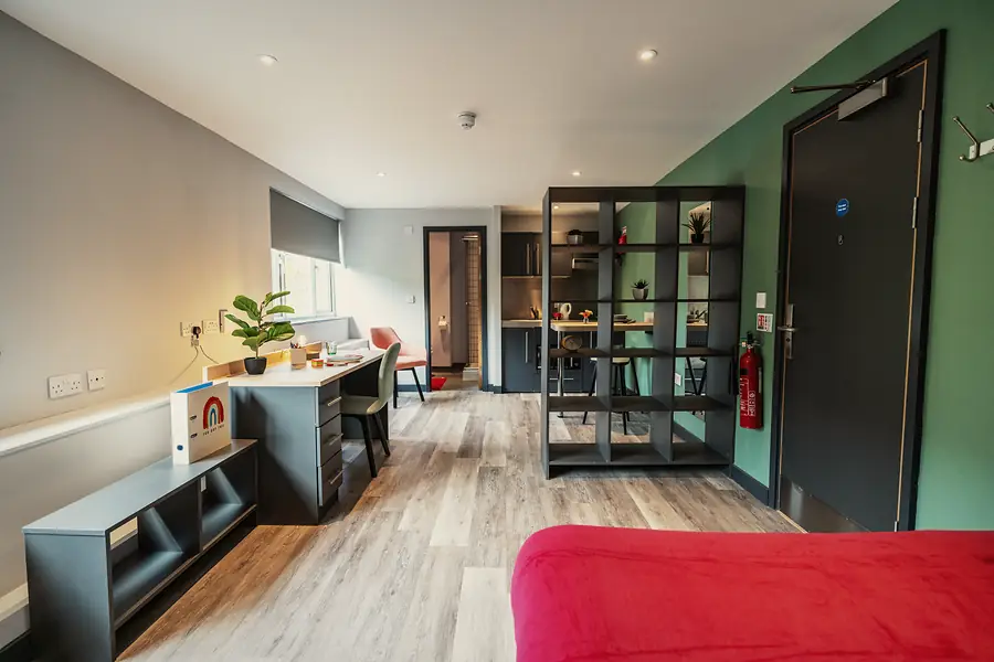 Superior Deluxe Studio at Sherbourne Student Village: Studio overview