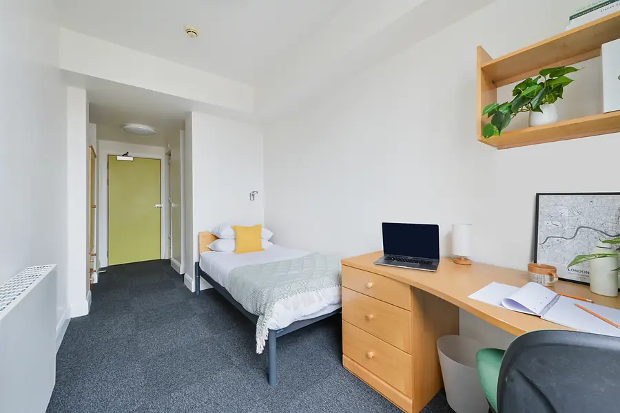 Gold Ensuite at AXO Waterloo: Room overview